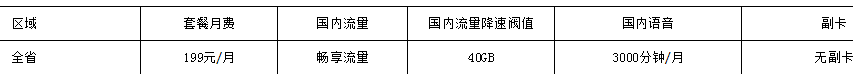 中山电信全国畅享流量（手机上网流量）套餐