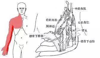 健康5