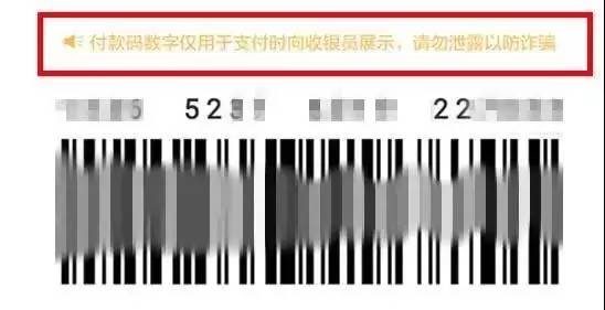 付款码数字