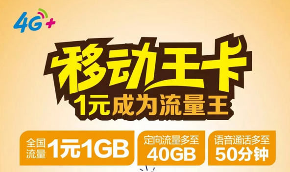 移动王卡