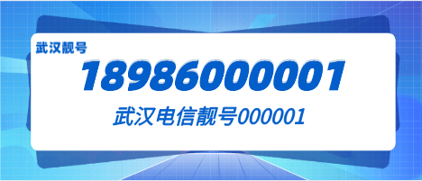 武汉电信18986000001
