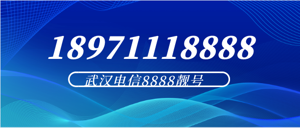 武汉电信18971118888