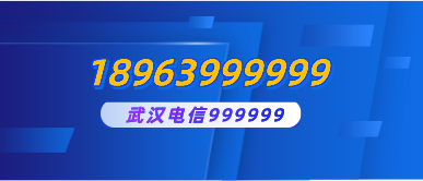 武汉电信18963999999