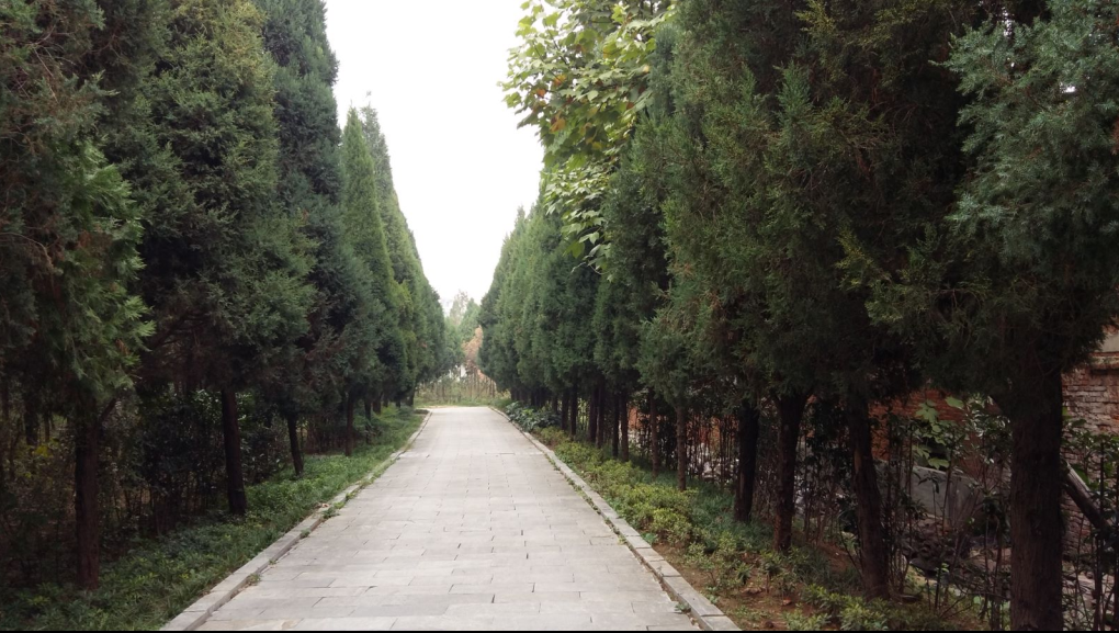 在路上