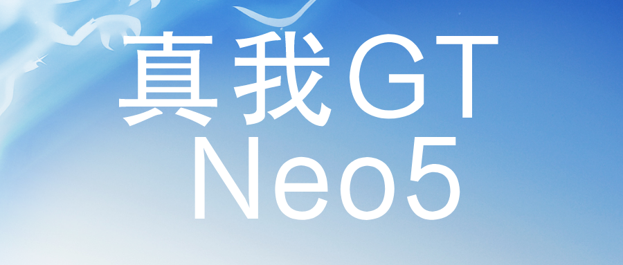 真我GT Neo5