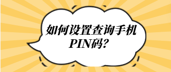 查询手机PIN码