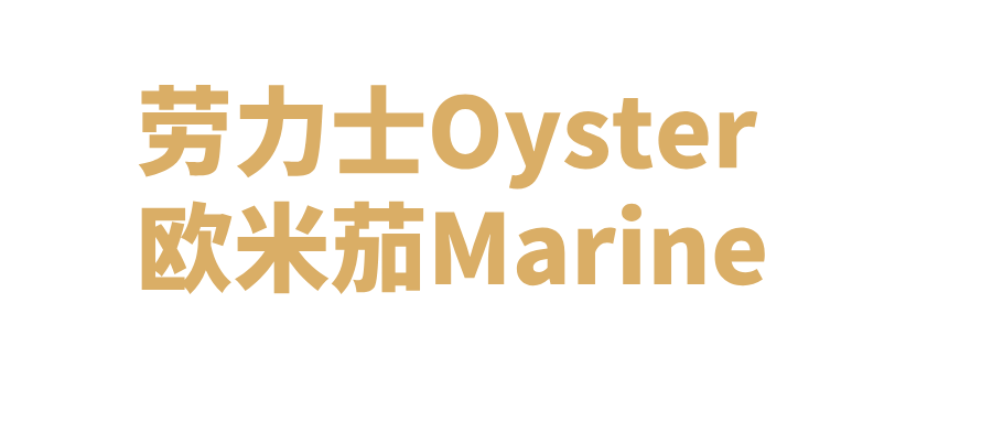 勞力士Oyster 與 歐米茄Marine