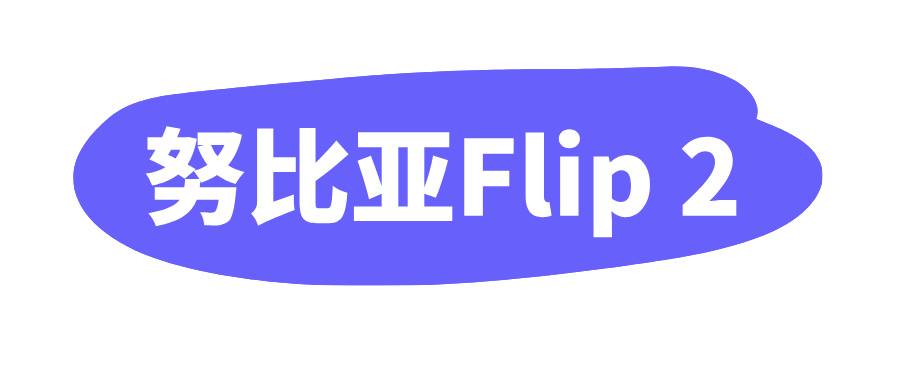 努比亚Flip 2