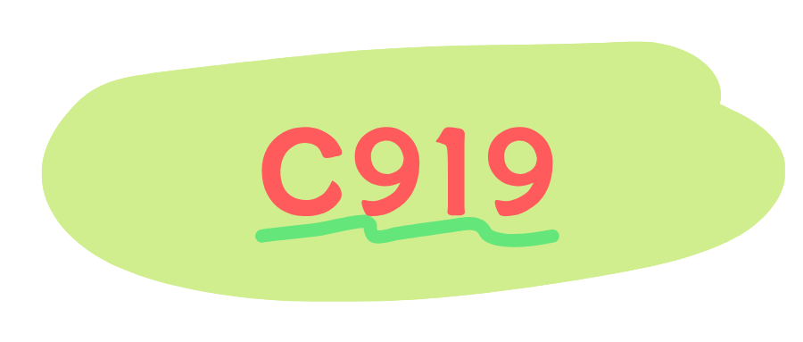 C919