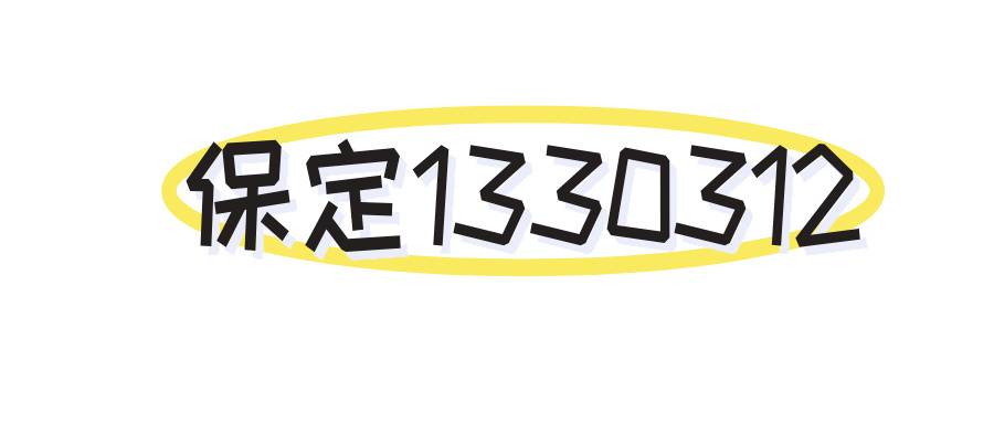 保定1330312
