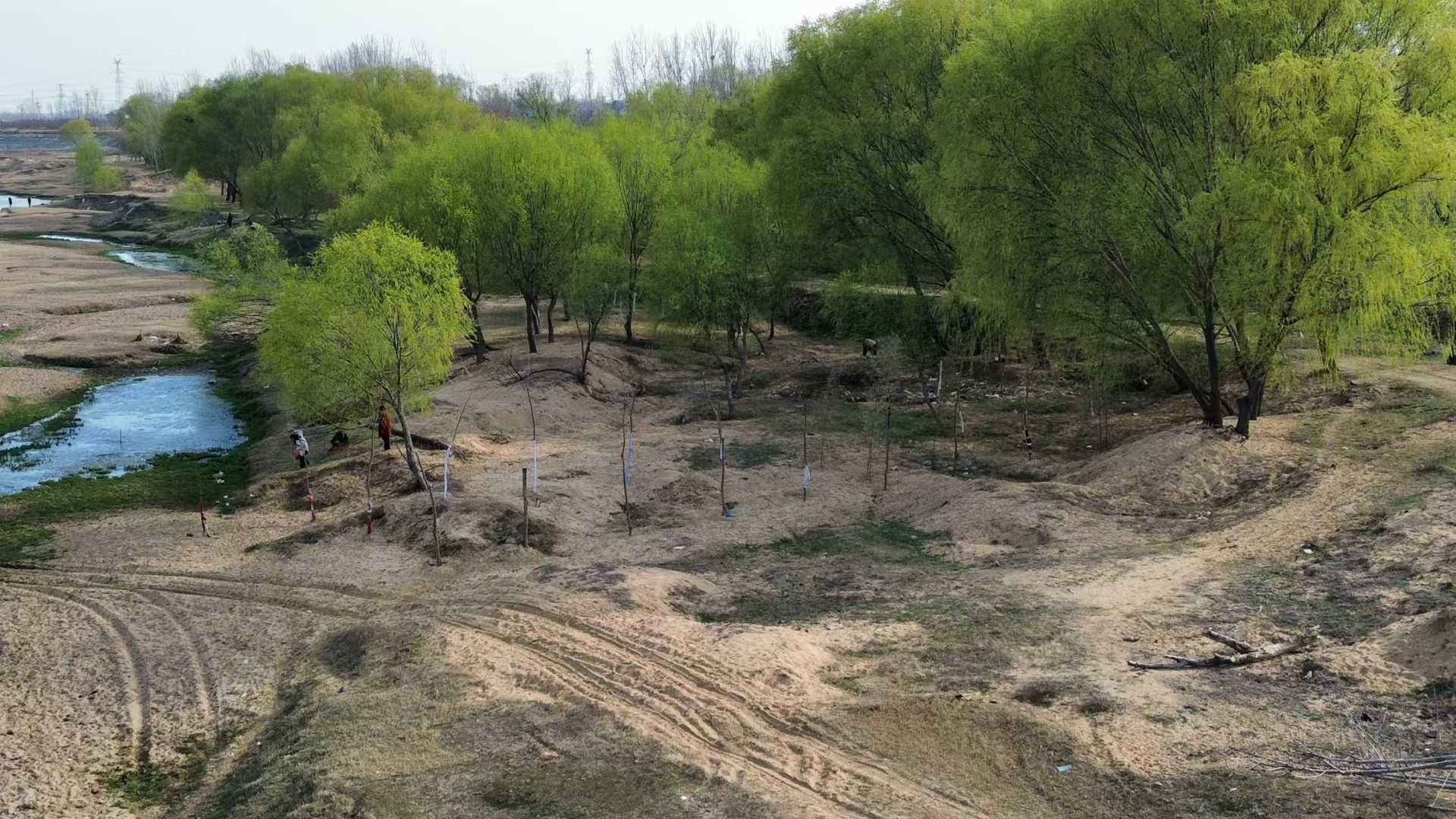 立秋