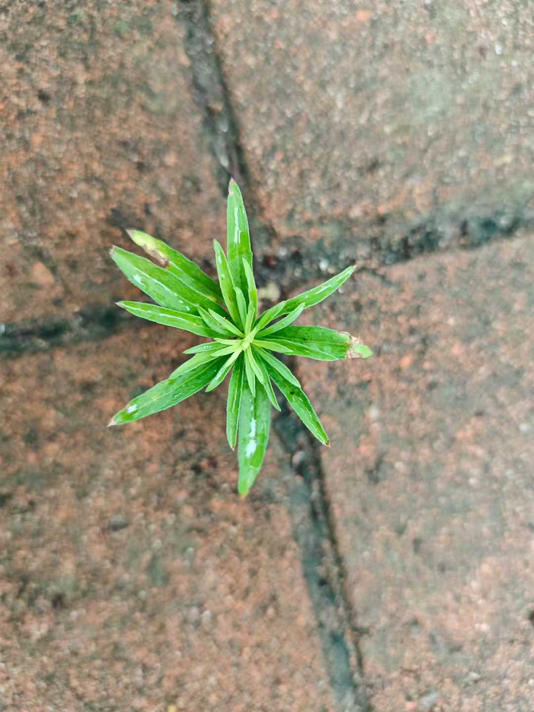 8月