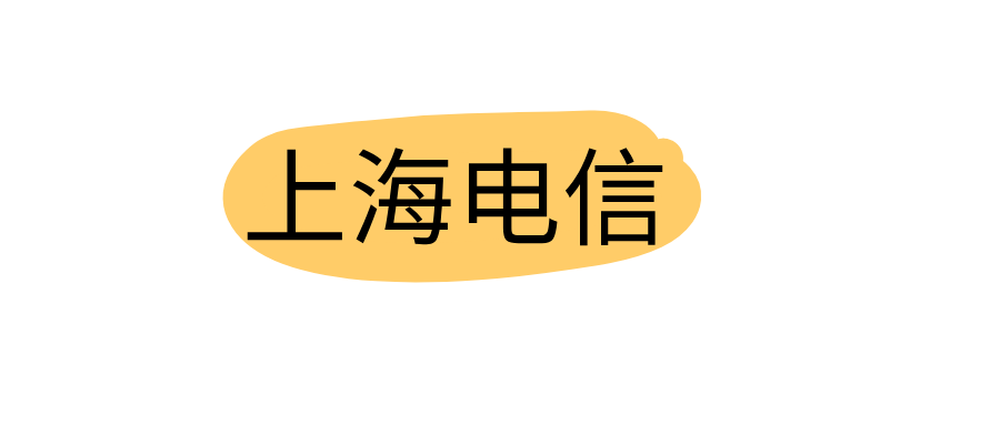 上海电信