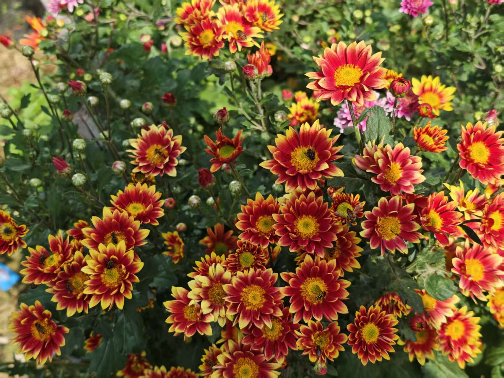 让你一秒破功的幽默笑话