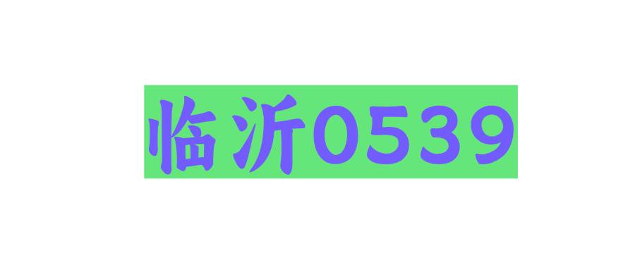 临沂0539