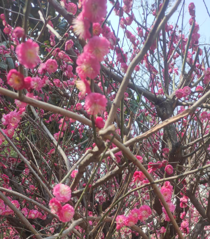 品质生活 品质生活