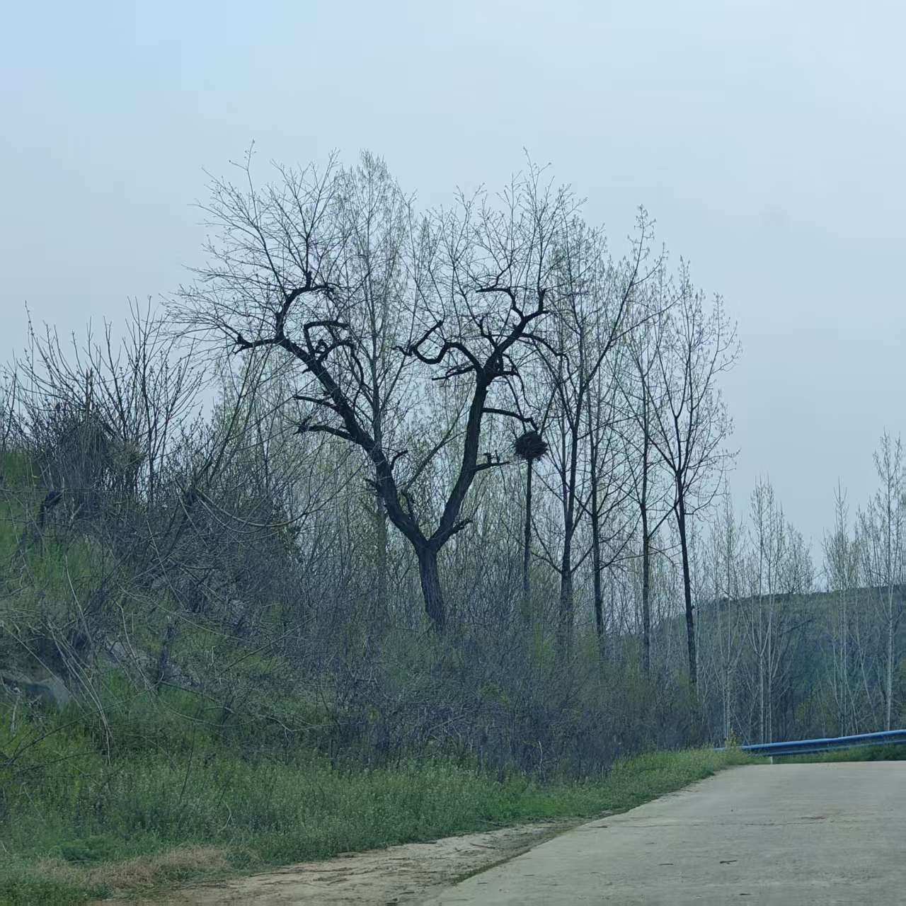 四月,你好 四月,你好