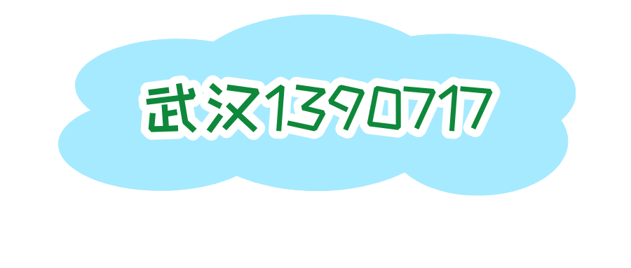 武汉1390717
