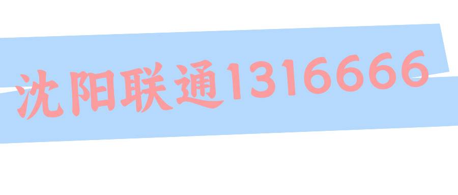 沈阳联通1316666